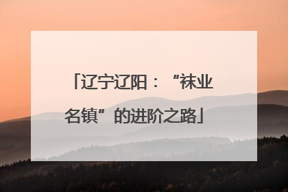 辽宁辽阳：“袜业名镇”的进阶之路
